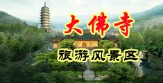 激情呻呤打开腿做受视频视频中国浙江-新昌大佛寺旅游风景区